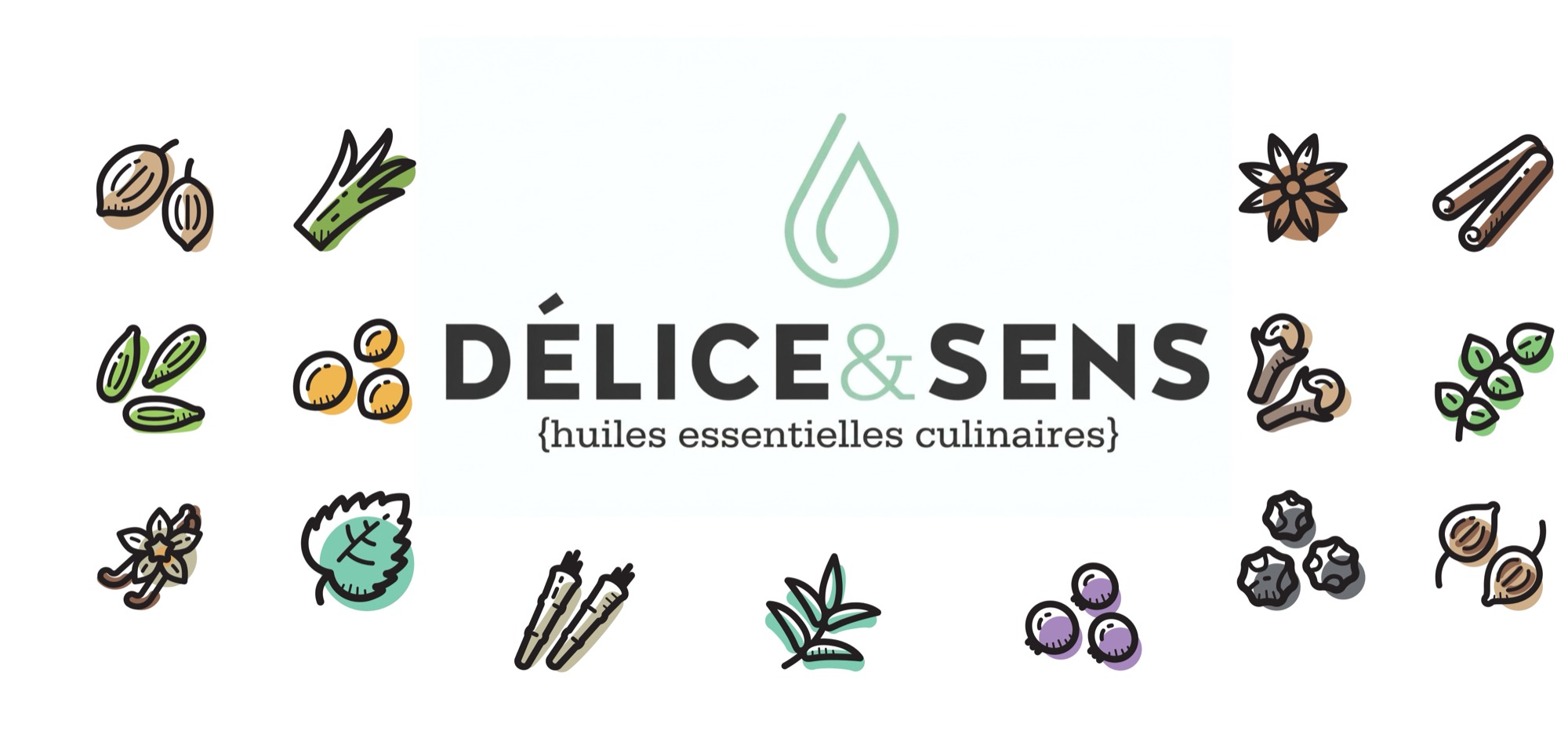 Logo Délice & Sens, huiles essentielles culinaires, entouré d'épices et d'aromates